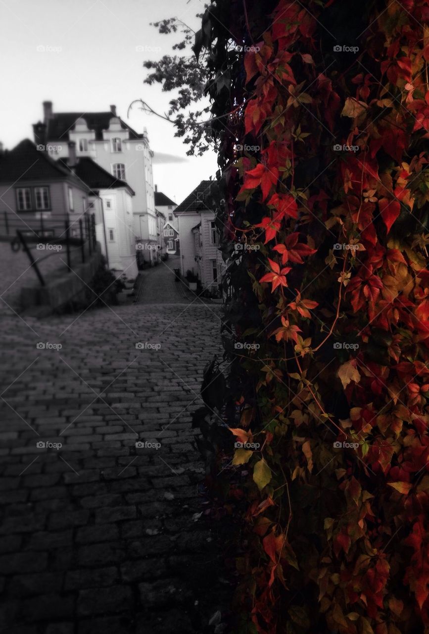 Fall in bergen