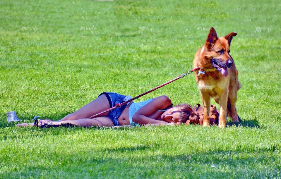 the bodyguard.  a dog and a girl