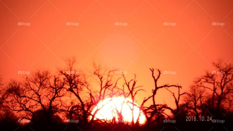 Sunset in South Africa