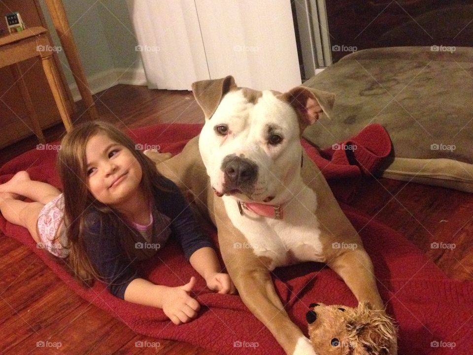 Pit bull dog and her sweet little owner relaxing.