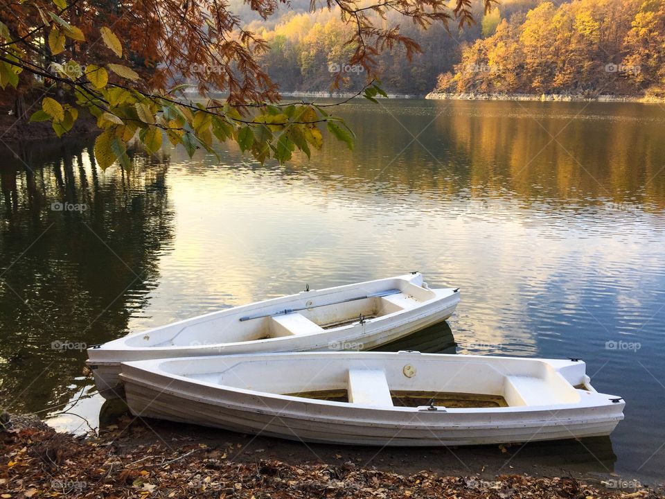 Two wooden white boats on the lake surrounded by forest of trees with yellow leaves