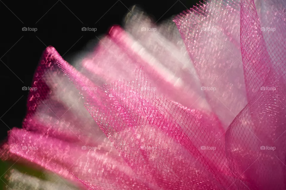 Tutu Art