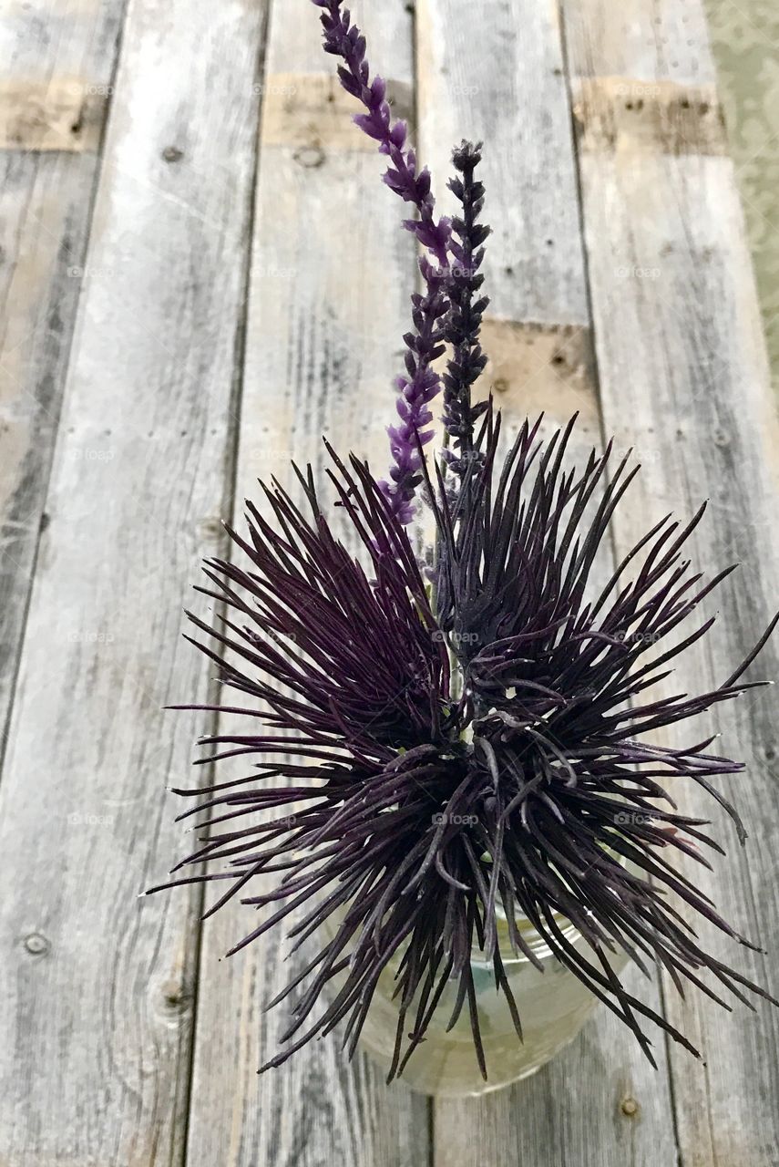 Spiked Leaves on Wood