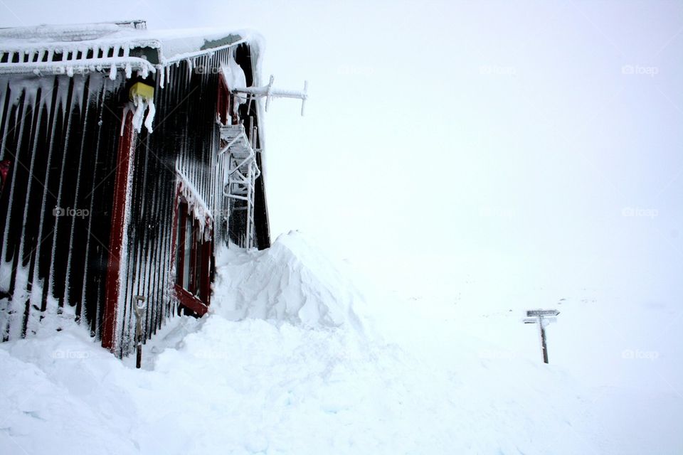 Winter house