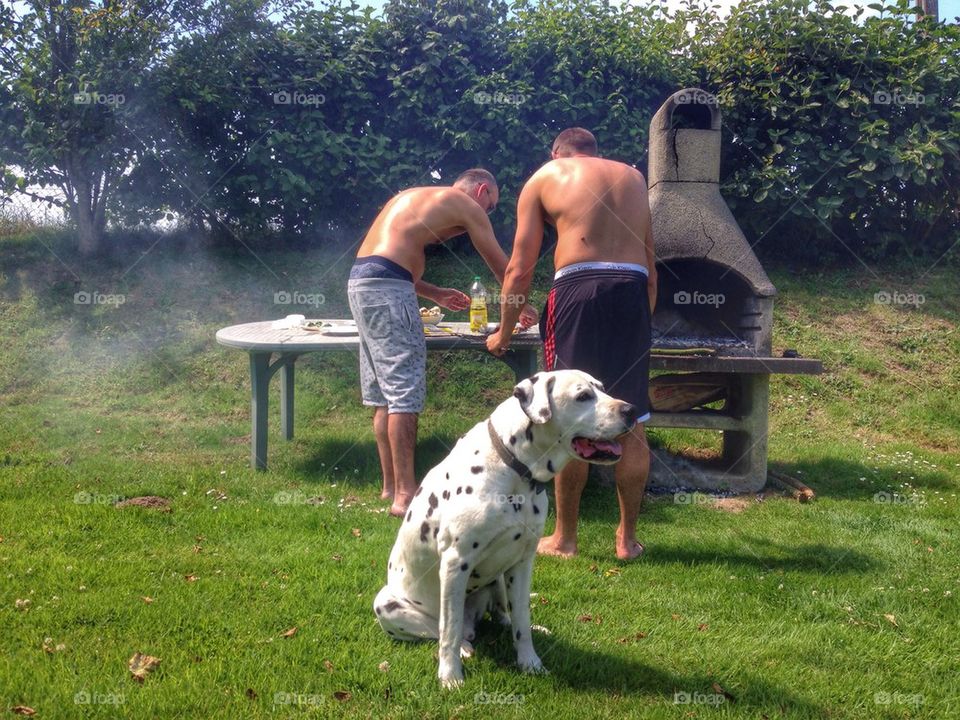 Summer BBQ with the dog 