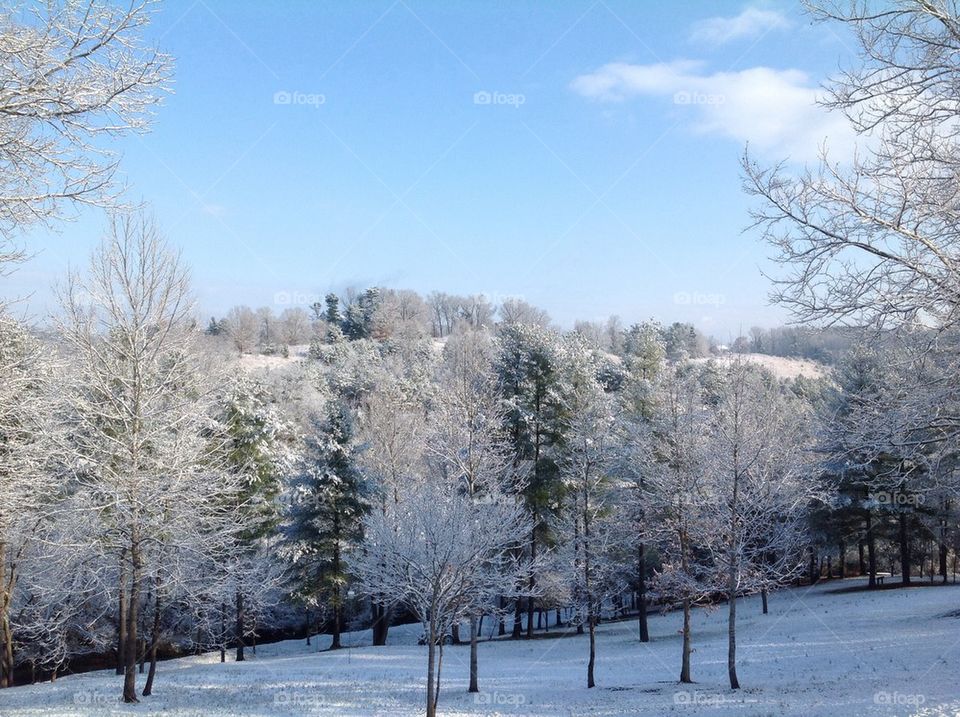 Pasture in the snow!