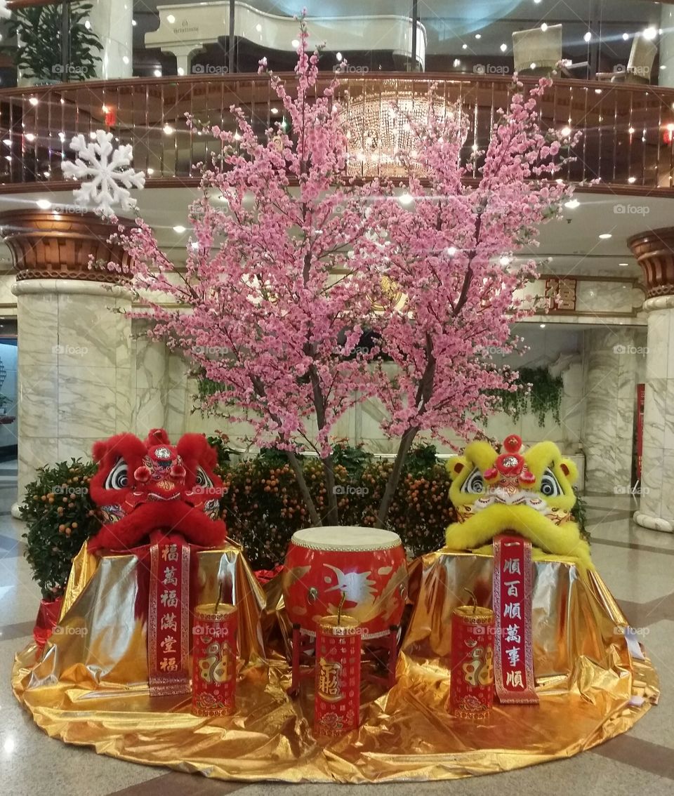 Chinese Lunar New Year lions dragon  decoration display