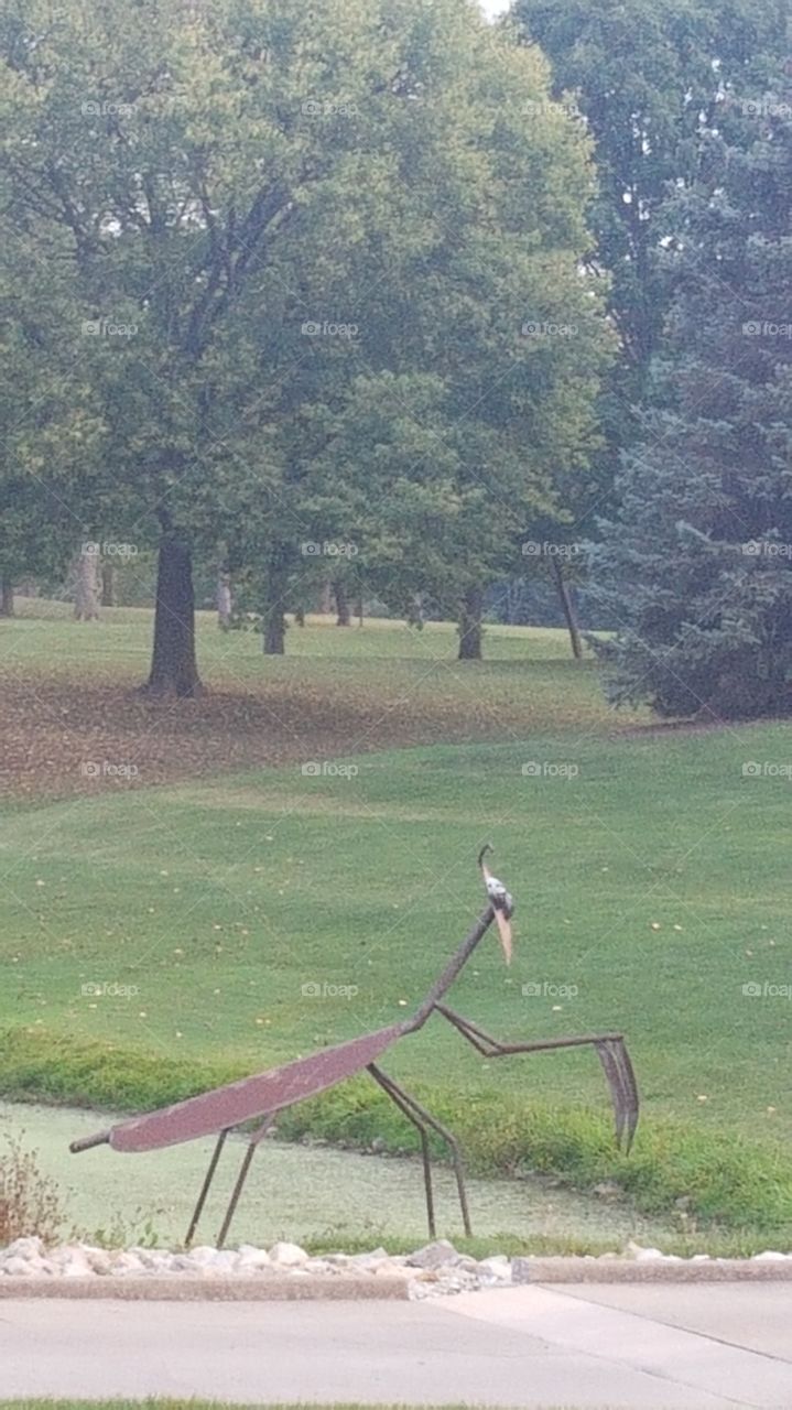 rainy fall day at the golf course