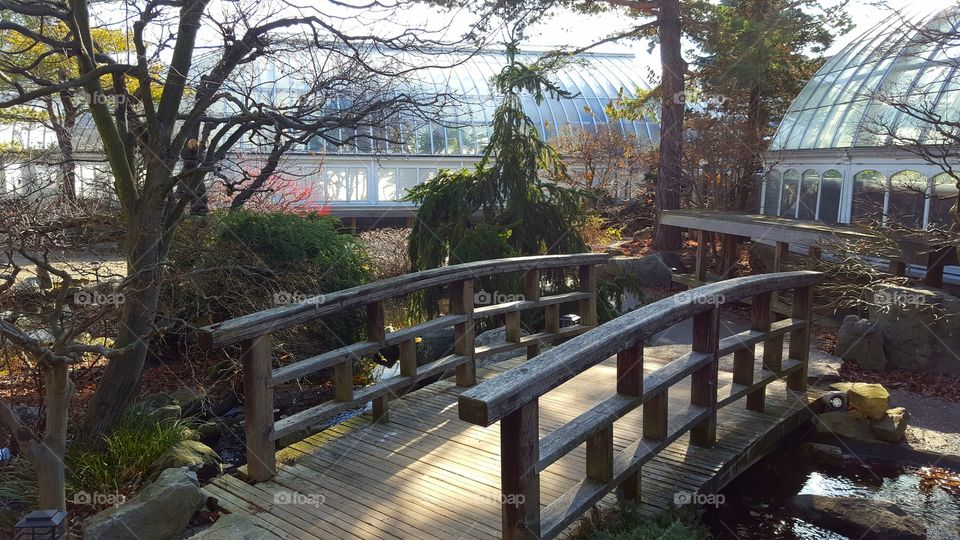 A Japanese water courtyard garden in winter.