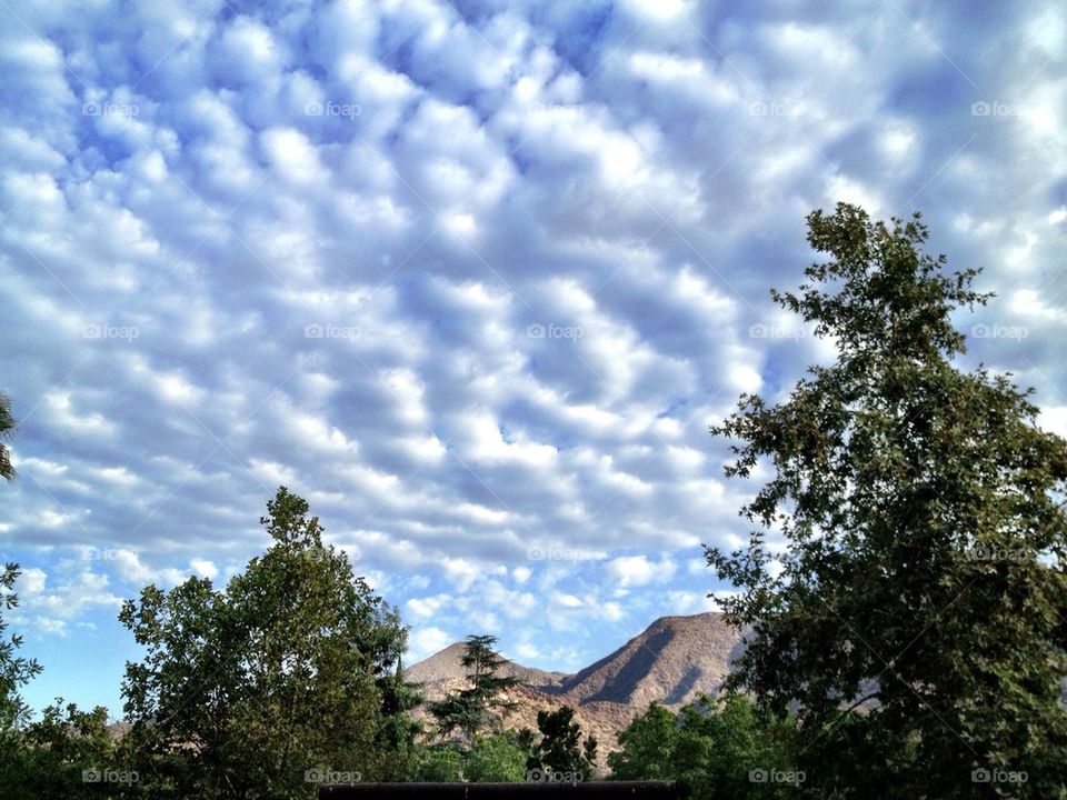 Ojai morning sky