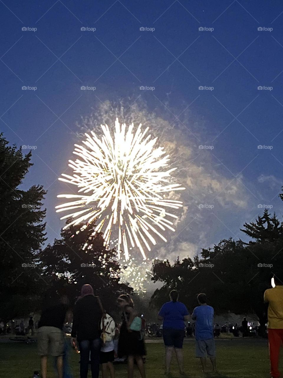 Fireworks on Independence Day
