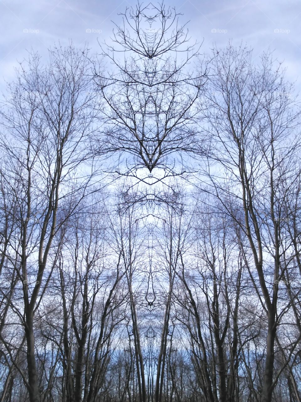 Backyard sky with mirror image