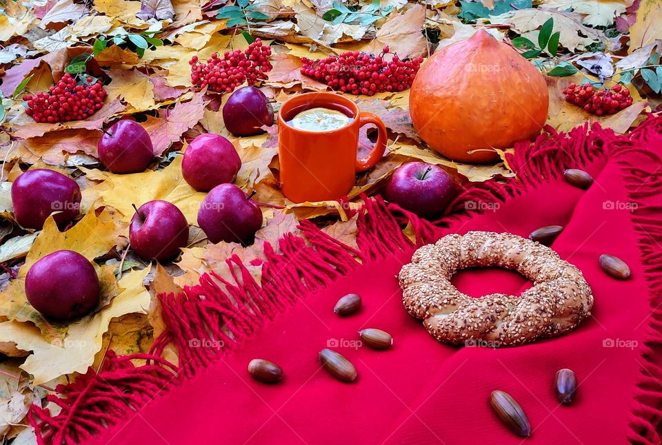 Autumn day. Red plaid, apple harvest, pumpkin, acorns, Semit, a mug of lemon tea, rowan berries and a good day ππππ₯β