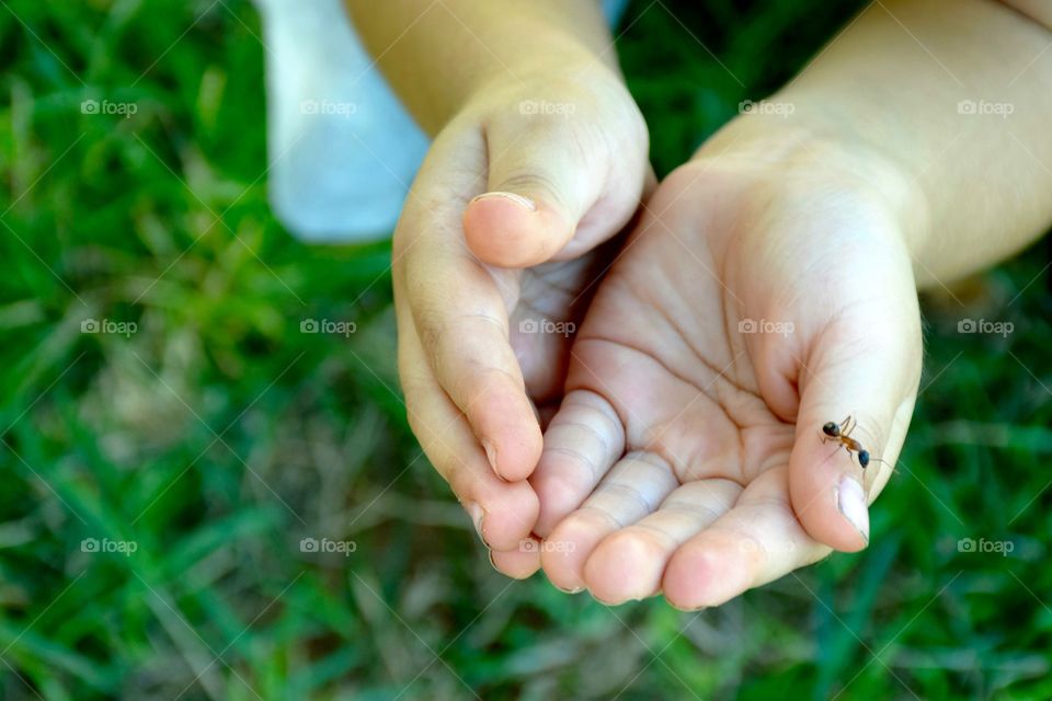 Child holding insect in hand