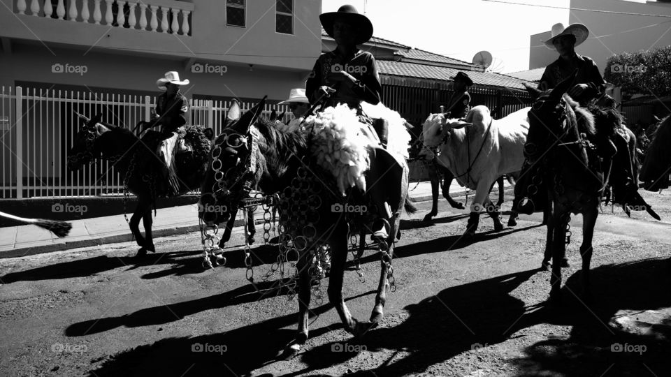 Evento agropecuario tradicional comemorativo de aniversario de cidade brasileira. Cowboys e Cowgirls. Cavalos, touros e cavaleiros. Confraternização, cavalgada nas ruas.