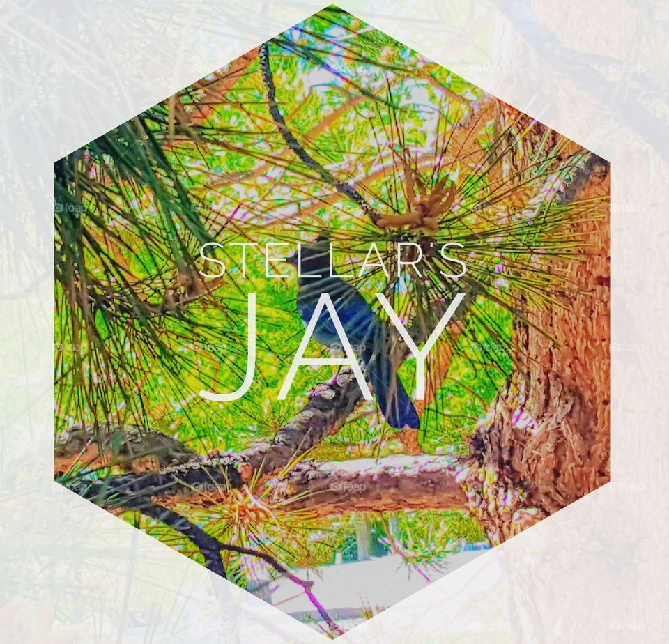 living BEAUTIFULLY & WONDERFULLY Made