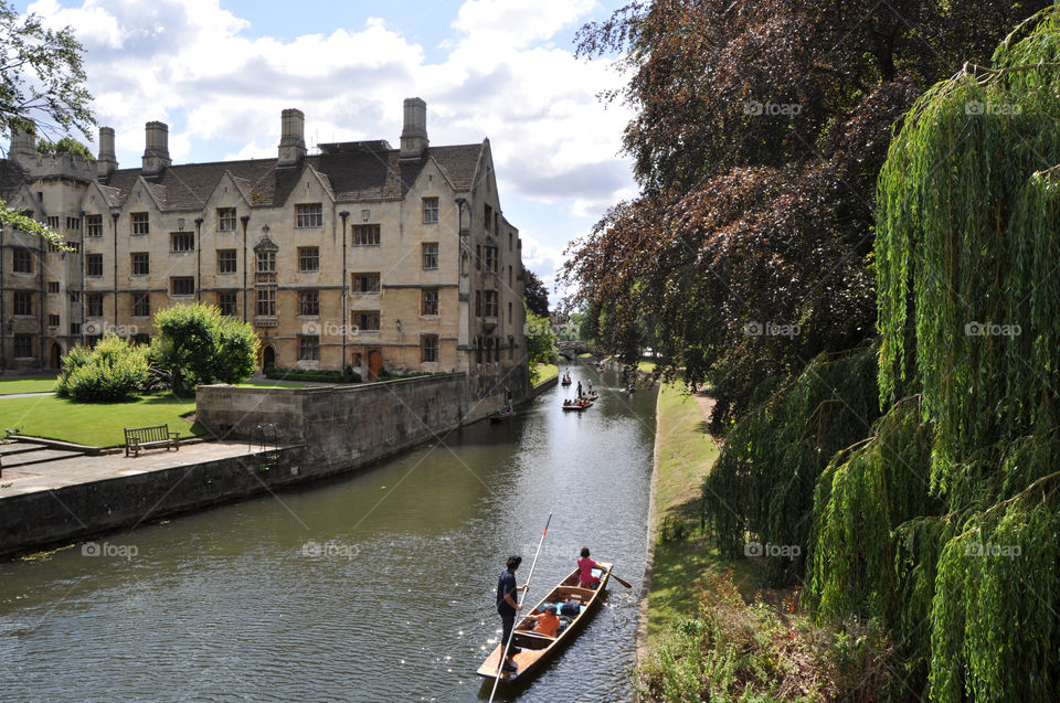 Cambridge view 