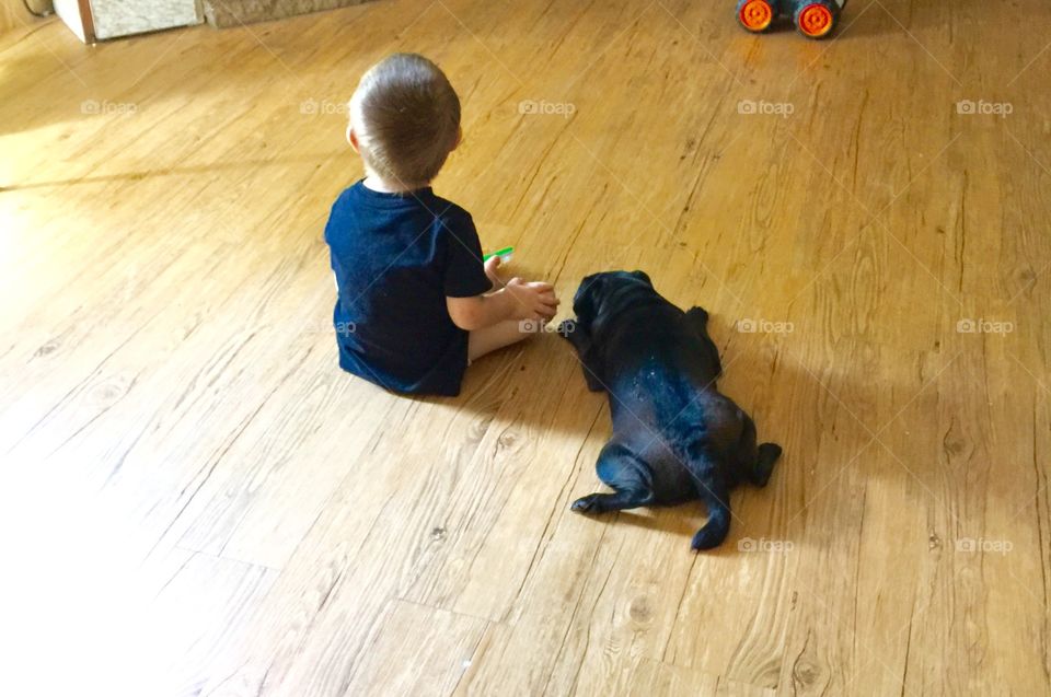Boy and his dog