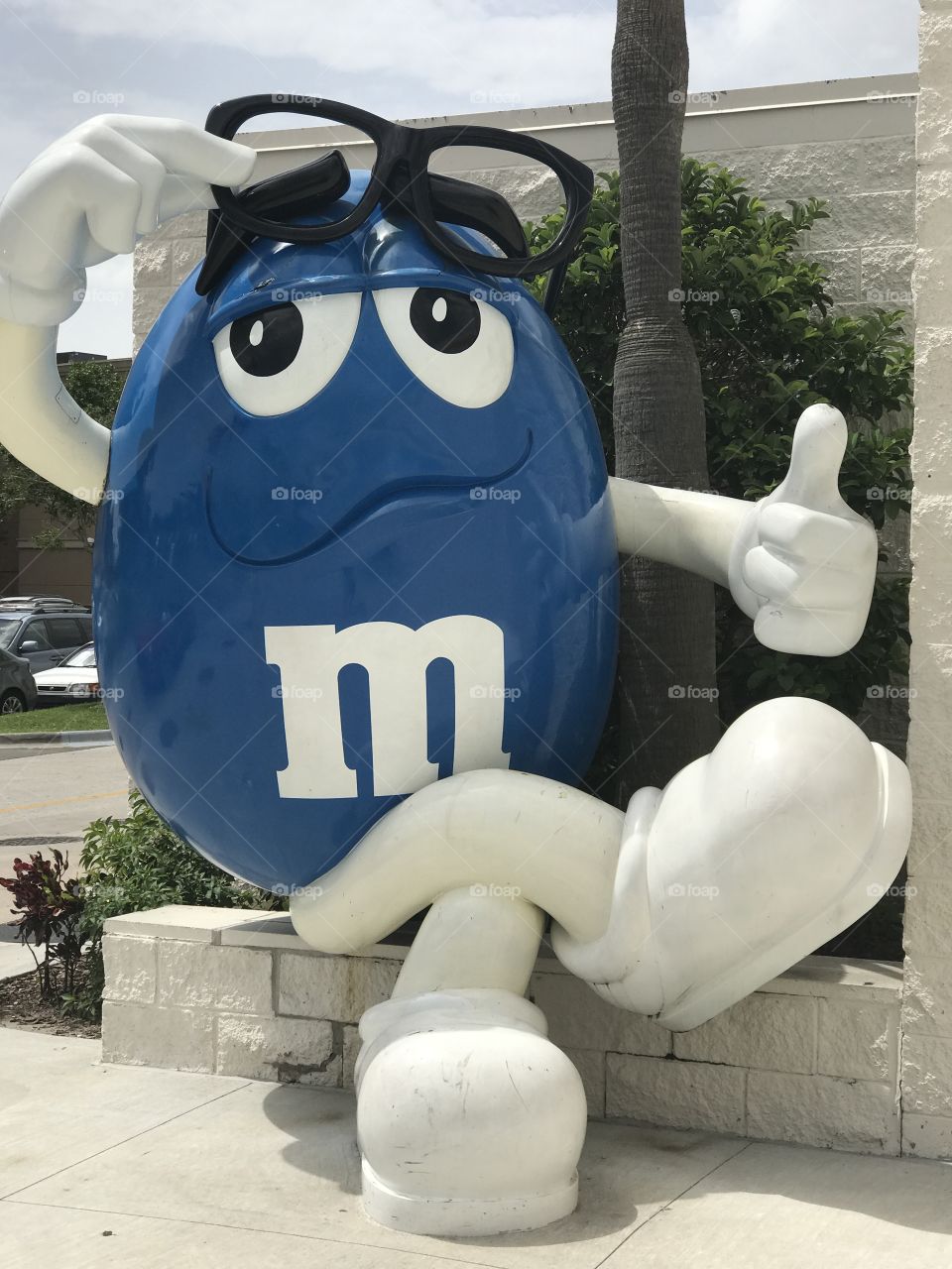 .odnalrO ni detacol tneduts FCU nA .asleS yb kcilC Follow me @Selsa.Notes, Selsa.Clicks, or Selsa. August 7th 2017. Florida Mall M&M store.