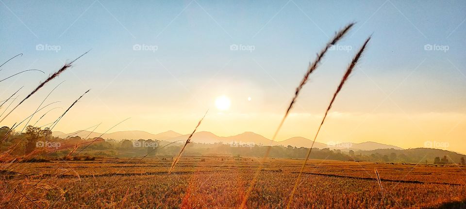 Vibrant sunset looking great.