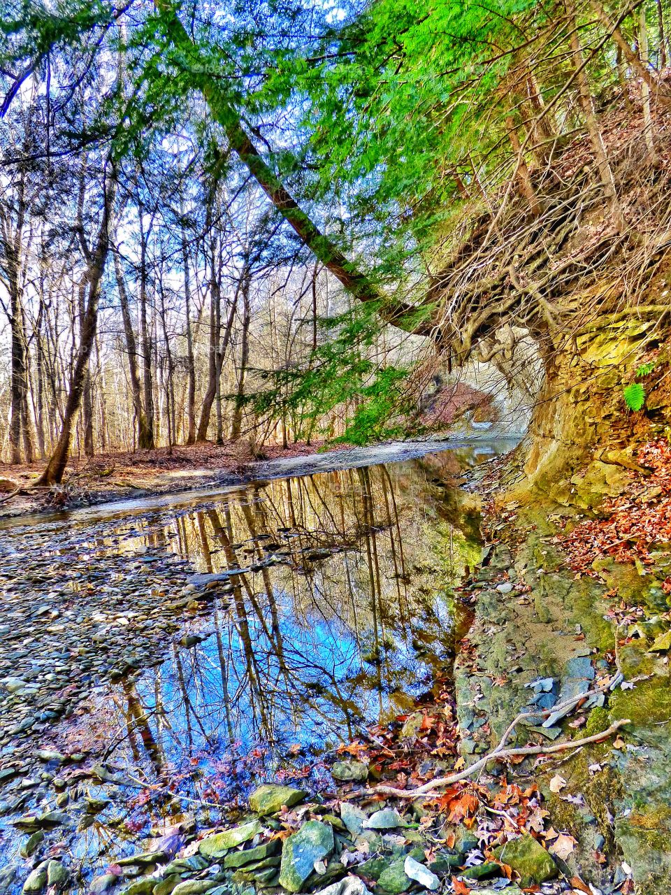 Beautiful view in the park. 