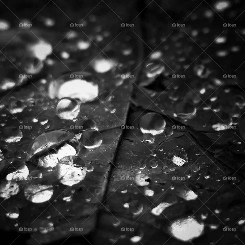 drops