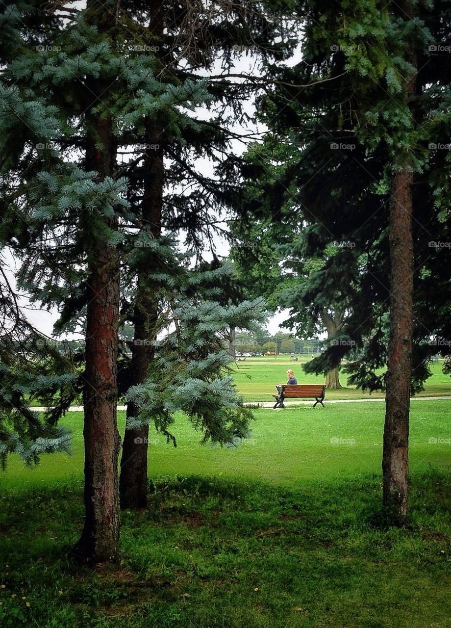 Waiting Patiently for this Photographer