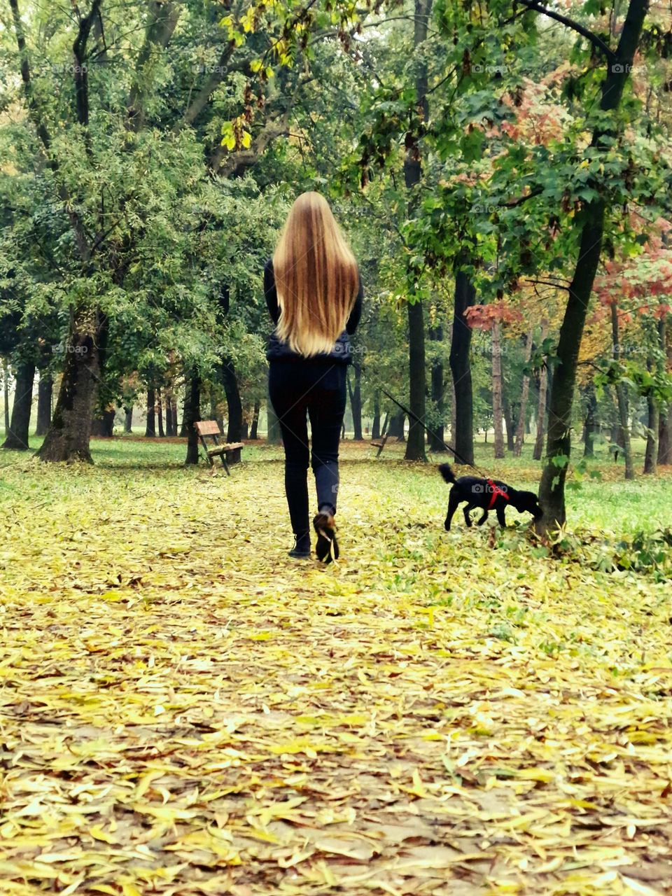 the girl walking her dog on a carpet of autumn leaves