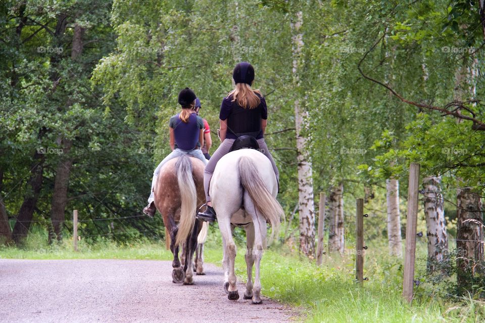 Summer with horses . Horse riding in the summer 