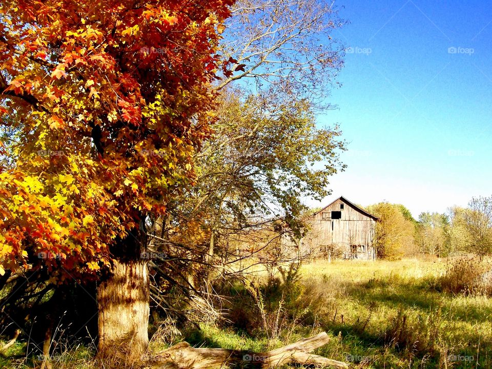 Rustic old barn in fall