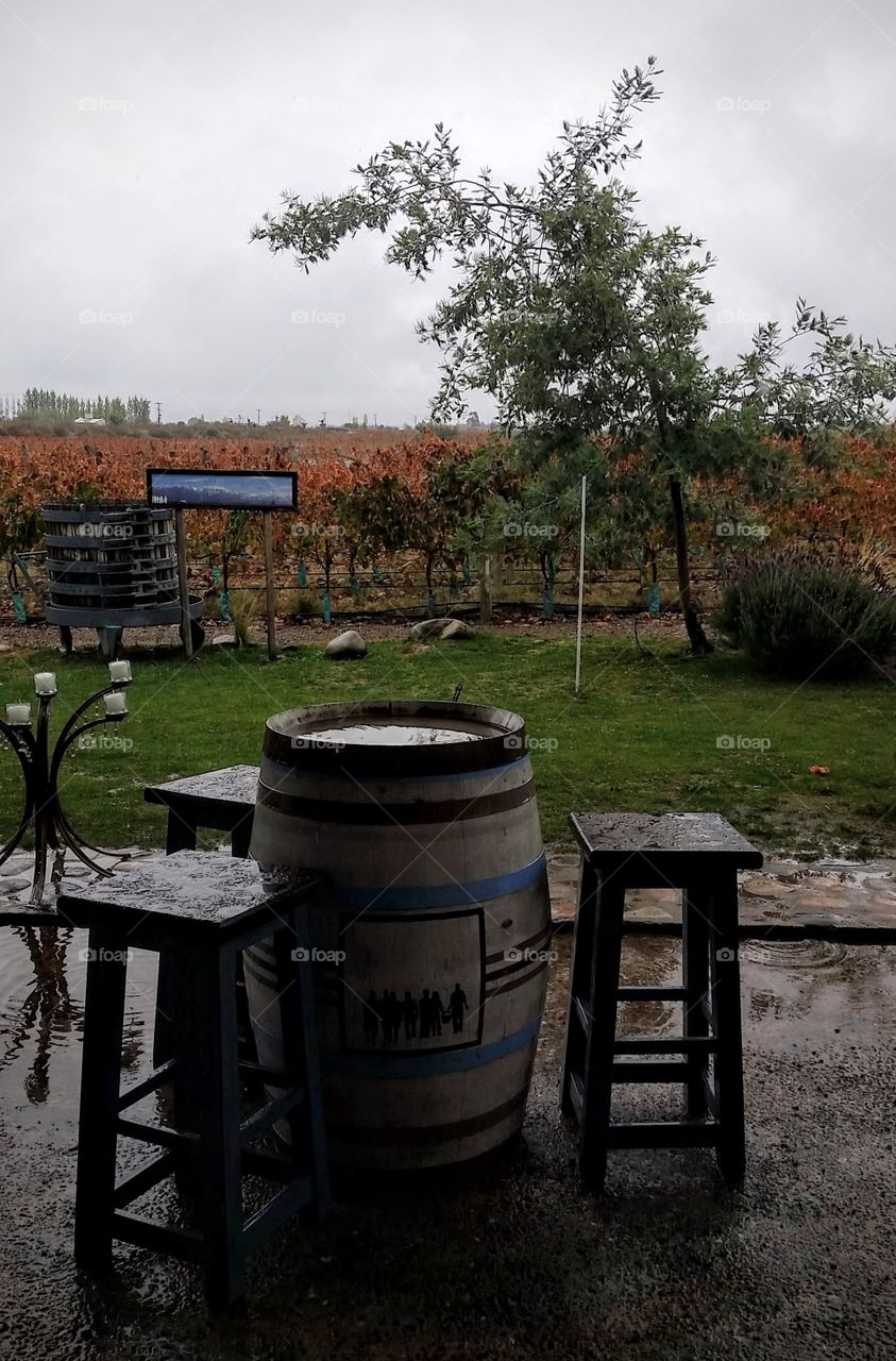 Rainy day at the winery