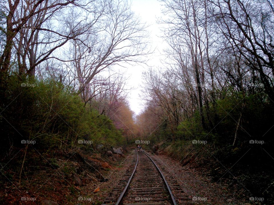 "On Track."
These are possibly abandonned, possibly not abandonned train tracks which run through Ijam's Nature Center, just by Mead's Quarry and the Keyhole. The picture itself just screamed, "Inspiring," to me almost immediately after I had taken it.