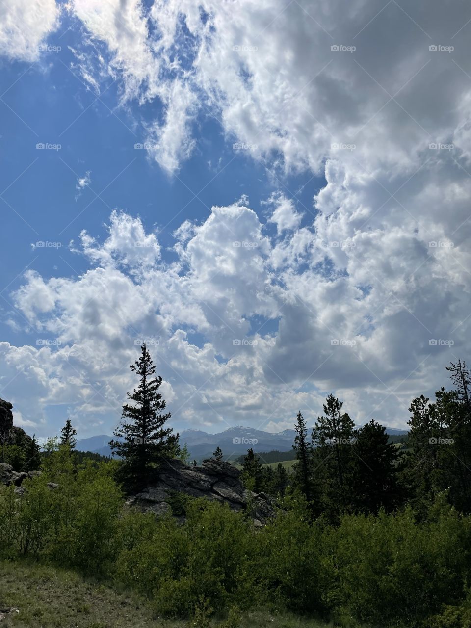 Rock rocky forest trees wilderness sky view scenic clouds Mountains mountain