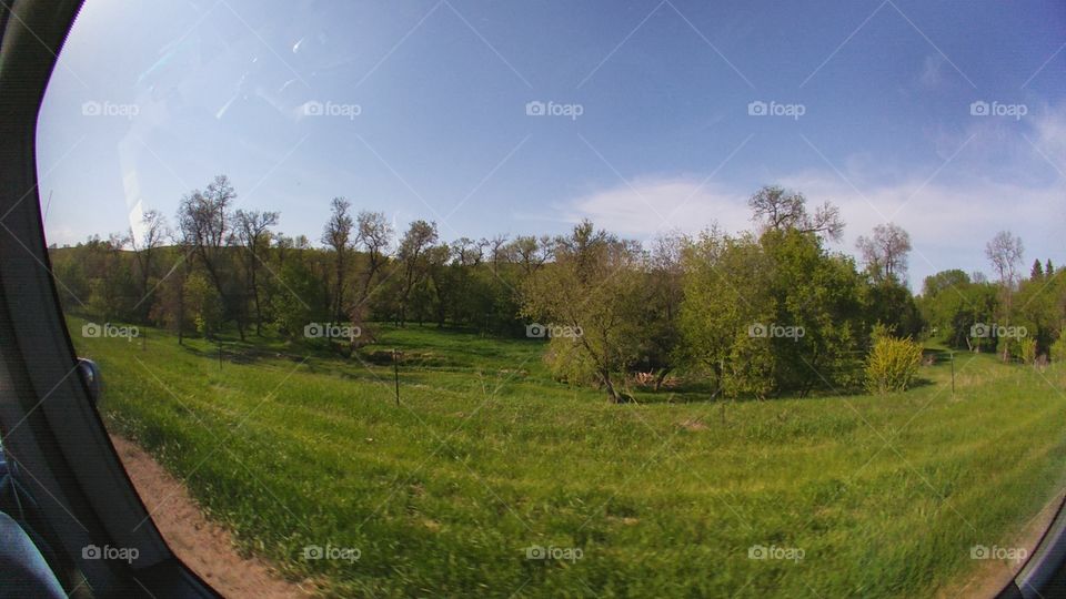 Landscape, Tree, Grass, Nature, No Person