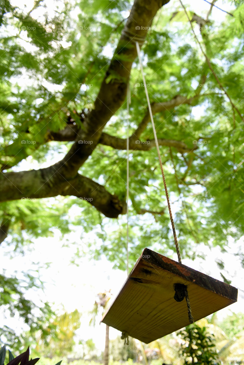 View from underneath a rectangular wooden tree swing looking up through the tree branches