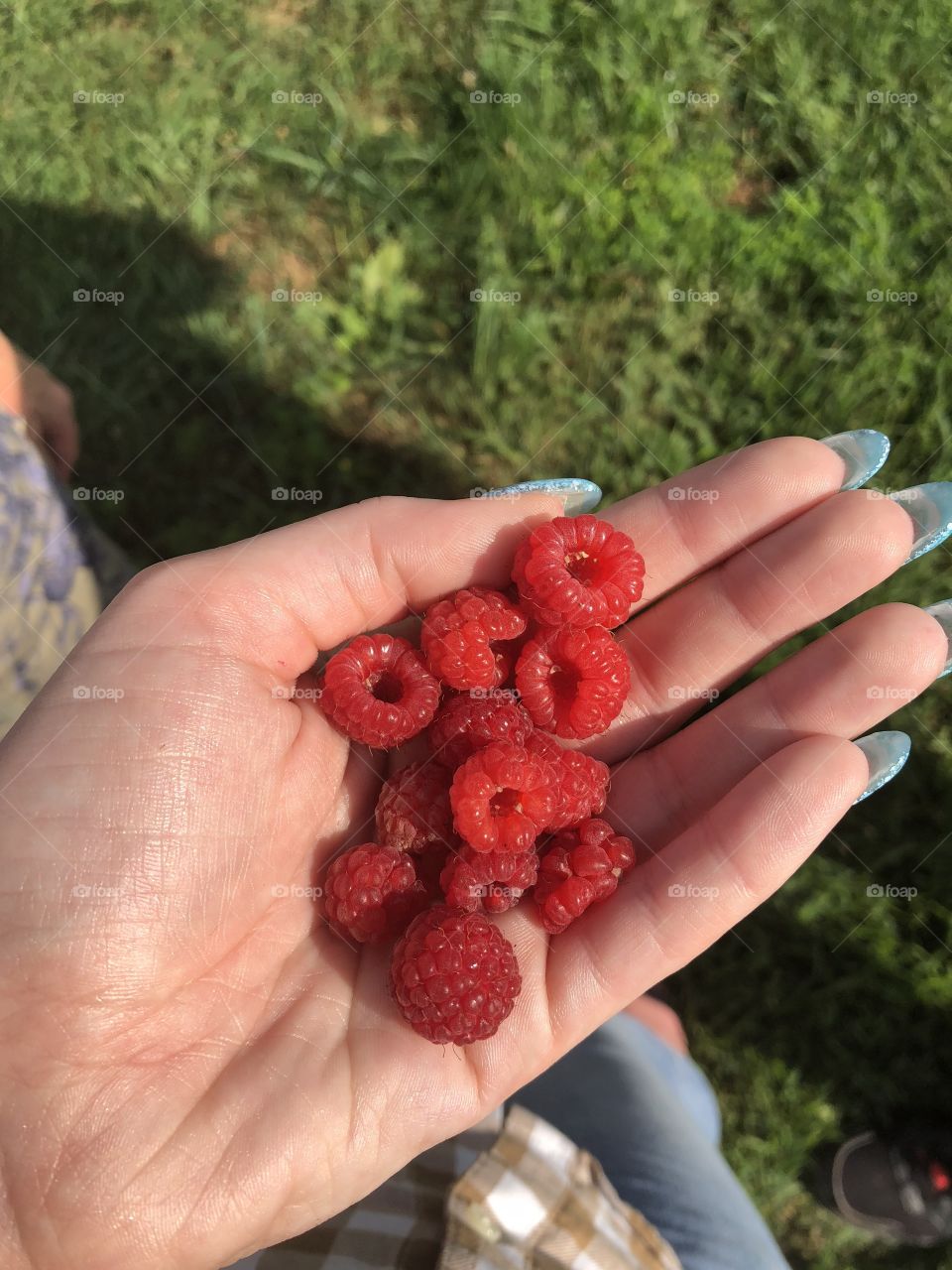Handfuls of berries 