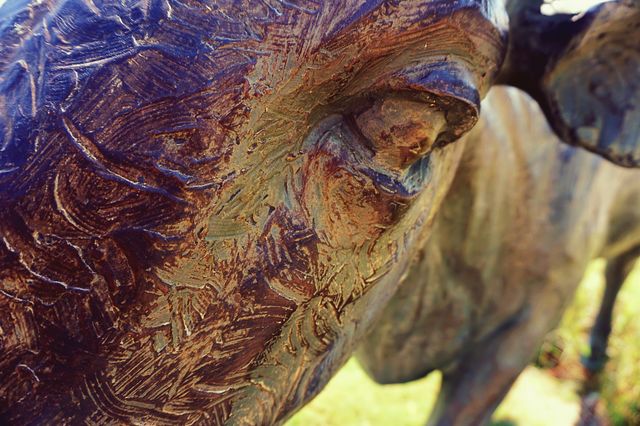 Longhorn Sculpture Right Angled View