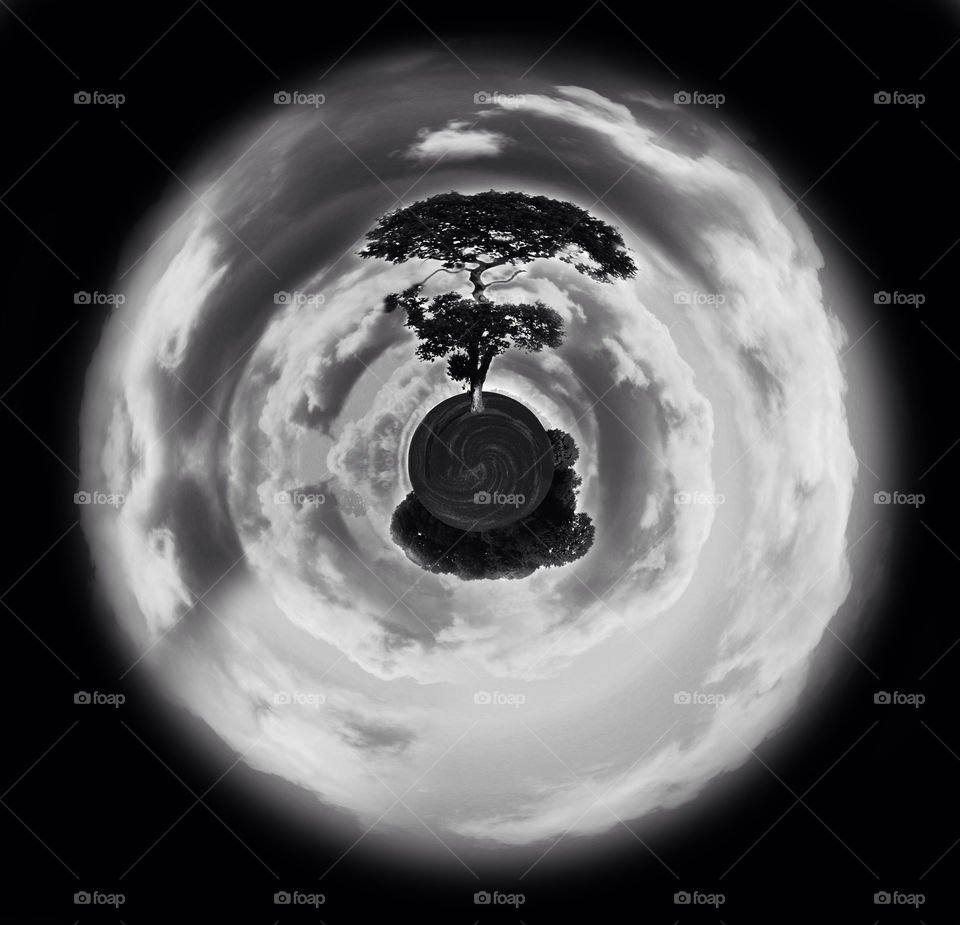 shadow light nature white by mojo26