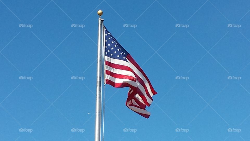 The Flag that Flies Free