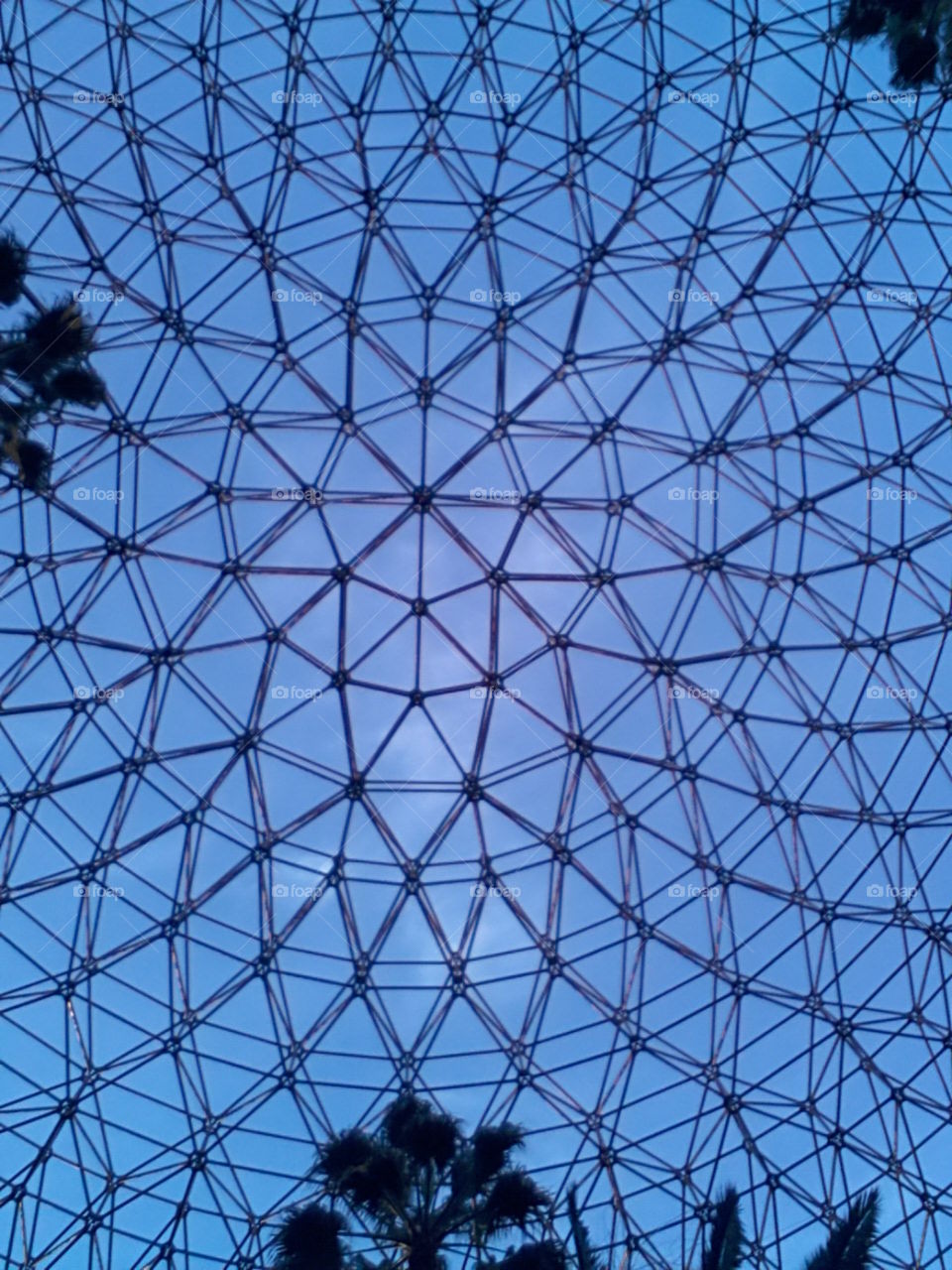 Pattern Above. just wandering around city walk. i looked up and saw this