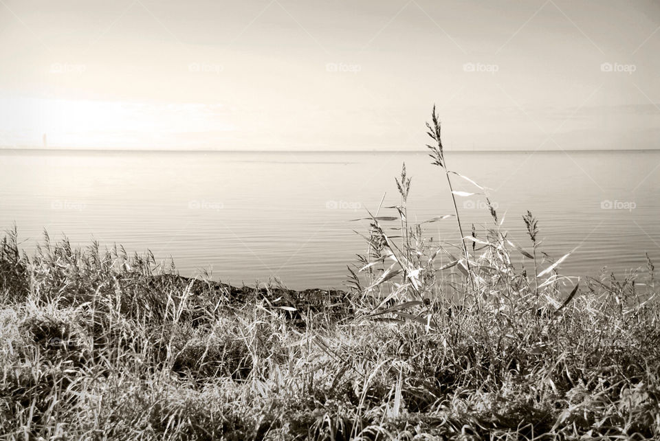 beach nature water natur by jbdc