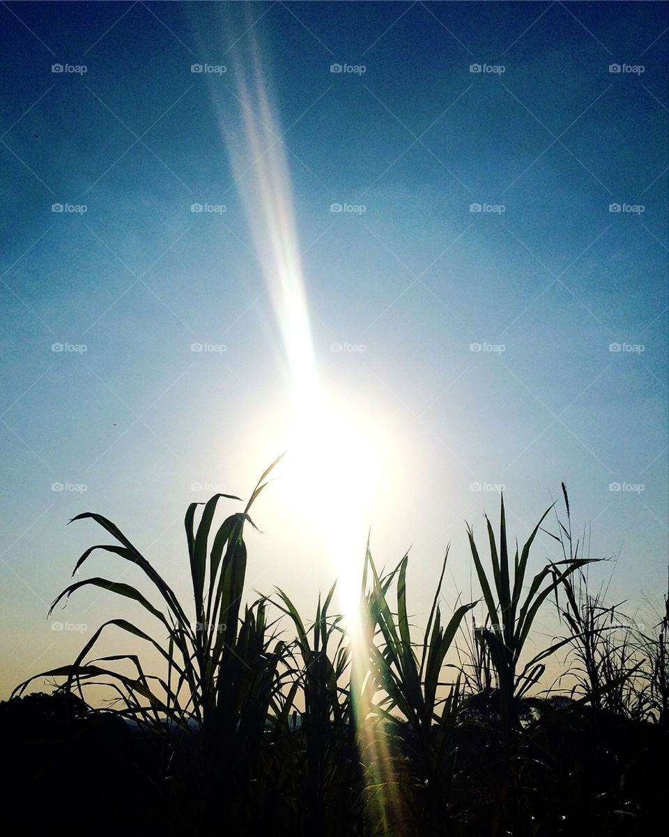 🌅Desperta, #Jundiaí!
Ótima 6a feira a todos.
🍃
#sol
#sun
#sky
#céu
#photo
#nature
#manhã
#morning
#alvorada
#natureza
#horizonte
#fotografia
#paisagem
#inspiração
#amanhecer
#mobgraphy
#FotografeiEmJundiaí