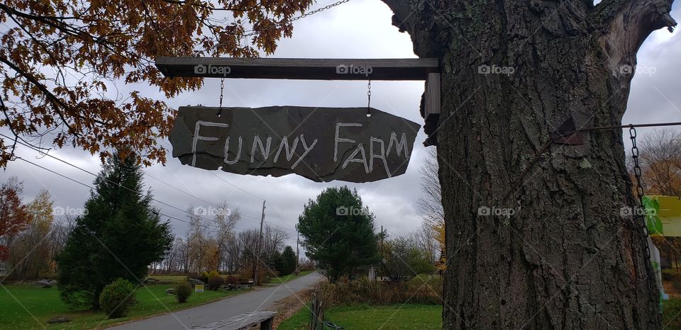 Slate Funny Farm Sign Suspended From Wood on a Tree