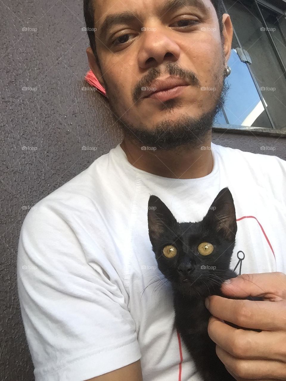 Meu gato 