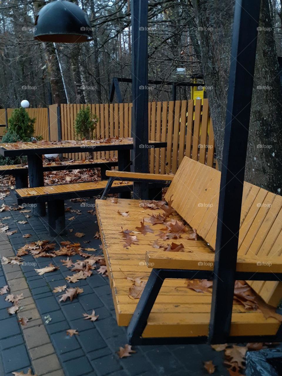 photo of an autumn park, namely a table and a bench with yellow leaves from a tree on it