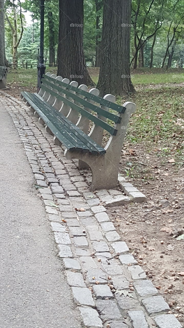 Taking a Seat in Central Park