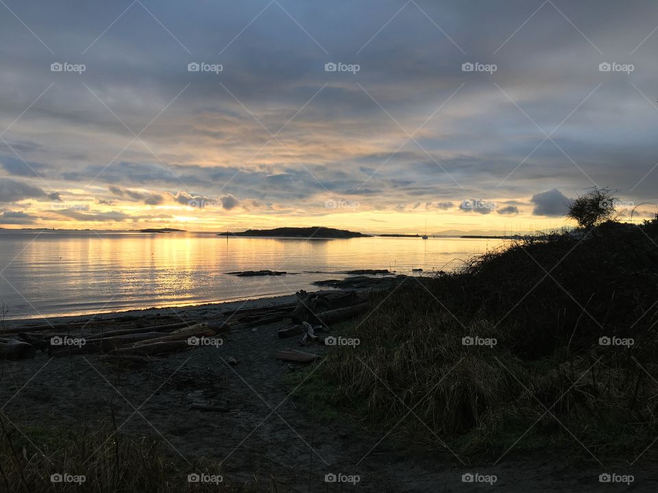 View of driftwood at sunset