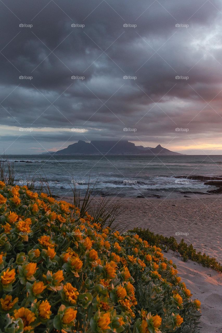 Table Mountain sunset