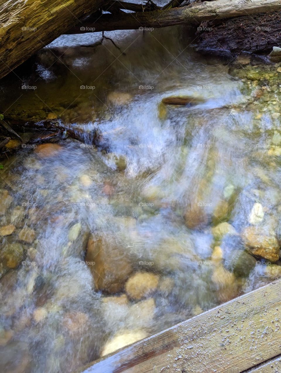 fern canyon California long exposure water creek river water flowing over smooth rocks outdoor nature hike