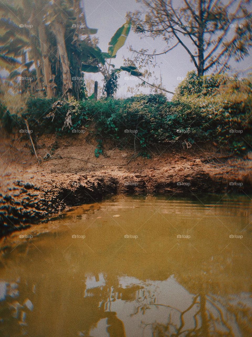 This is a natural pond in the garden.